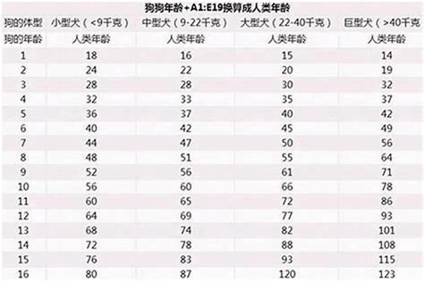 屬狗今年幾多歲|属狗的今年多大2024